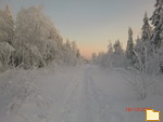 Обложка альбома: 1