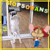 MOPSOdans
