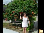 Titelbild des Albums: My Photo album