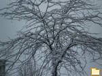 Обложка альбома: снег
