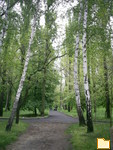 Обложка альбома: Природа и я 