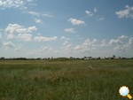 CIMG0241