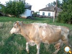 Нет заголовка