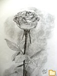 Обложка альбома: Pastel works/my hobby