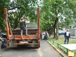 Обложка альбома: каков поп, таков и " приплод" 