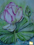 Обложка альбома: Water colours of my Mom
