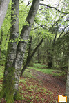 Обложка альбома: Bilder f&uuml;r Naturliebhaber :-)