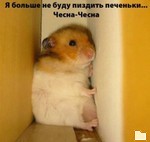 Обложка альбома: My Photo album