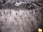Обложка альбома: The Graphic Arts Of The Winter 2012
