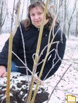 Обложка альбома: Winter-December-2010