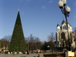 Обложка альбома: Новогодний Калининград