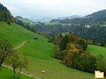 Обложка альбома: Alpen 2010