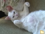 Обложка альбома: My Photo album