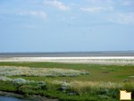 Обложка альбома: Holland