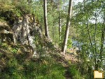 Обложка альбома: Красота