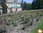 Обложка альбома: Цветы