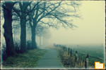 Обложка альбома: Thedinghausen