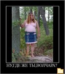 Обложка альбома: Радость для глаз